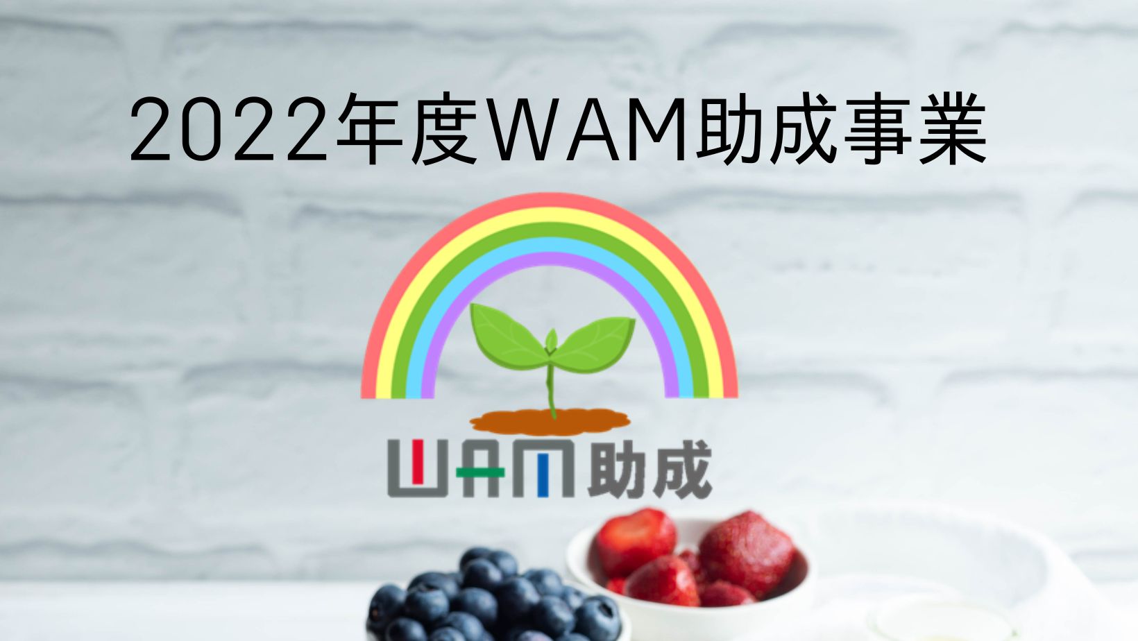 2022年度WAM助成事業